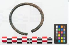 Foto von Bronzearmreif (NHMW-PRAE-002265)